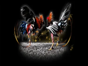 Cách Chơi Đá Gà Sabong Tại BK8 Đỉnh Cao Giải Trí