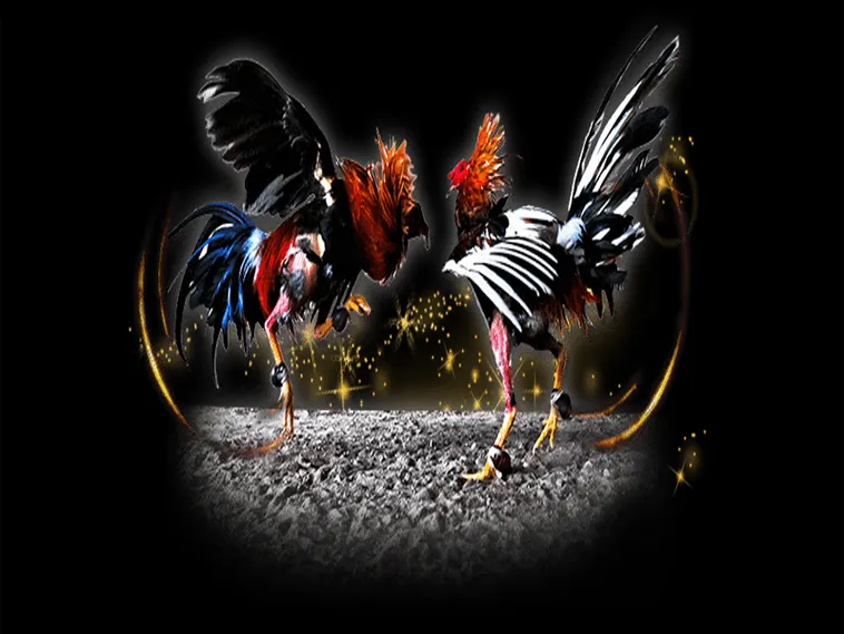 Cách Chơi Đá Gà Sabong Tại BK8 Đỉnh Cao Giải Trí 1 Cách Chơi Đá Gà Sabong Tại BK8 Đỉnh Cao Giải Trí