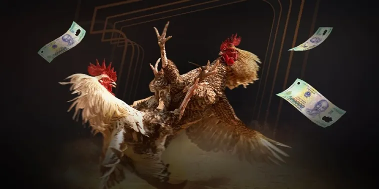 Đá Gà BK8 Trực Tuyến Hấp Dẫn Cho Người Chơi Mới